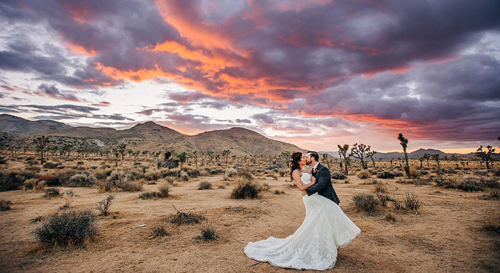 https://californiawedding.directory/wp-content/uploads/2025/02/SoCal-7a.jpg